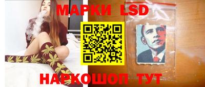 крисы Будённовск