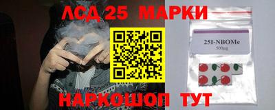 крисы Будённовск