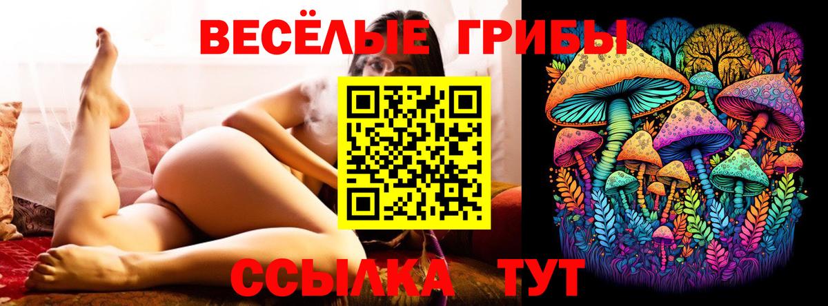 Псилоцибиновые грибы ЛСД  Вход с VPN  Саранск  Галлюциногенные грибы Magic Shrooms 